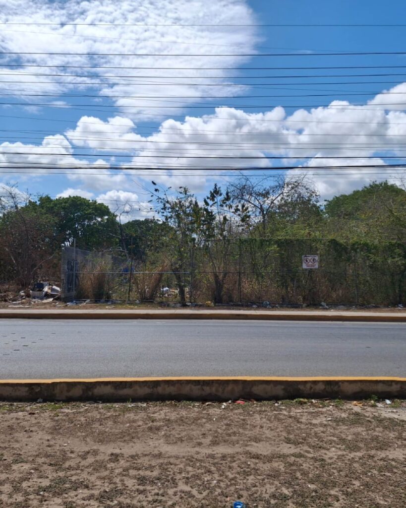 Fotos para sitio web - New RivieraMesa de trabajo 64
